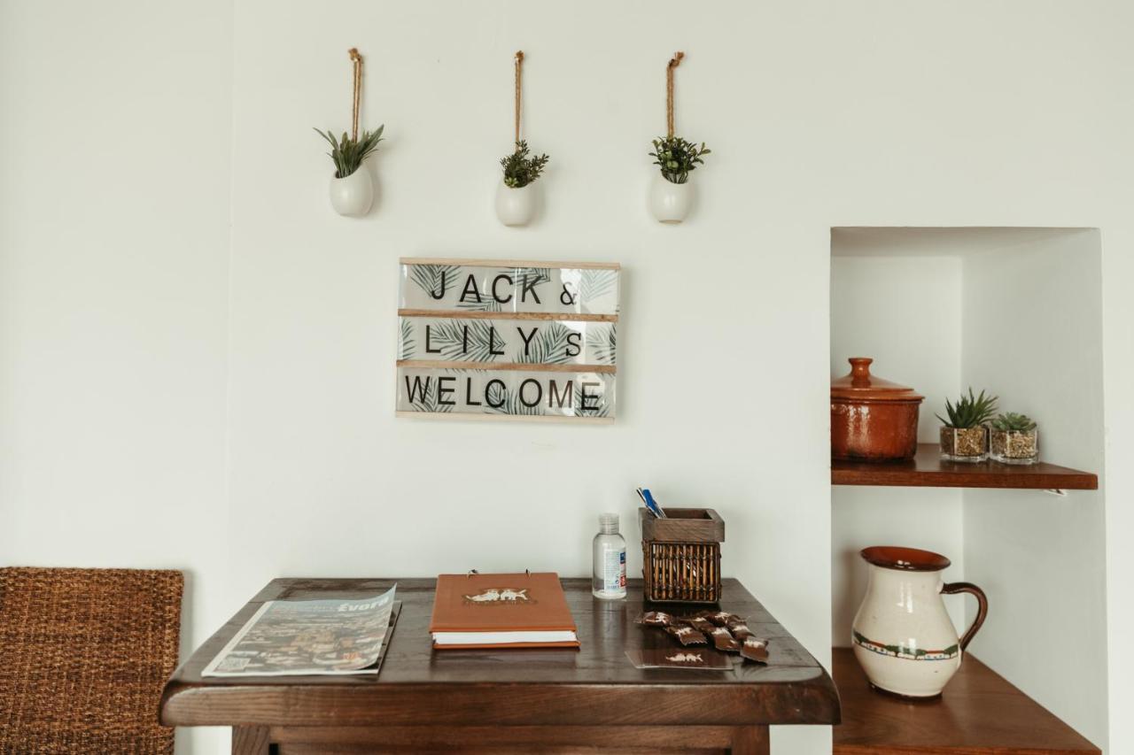 Jack&lily's * Evora